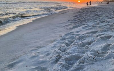 Florida’s Navarre Beach is a Naturalist’s Paradise