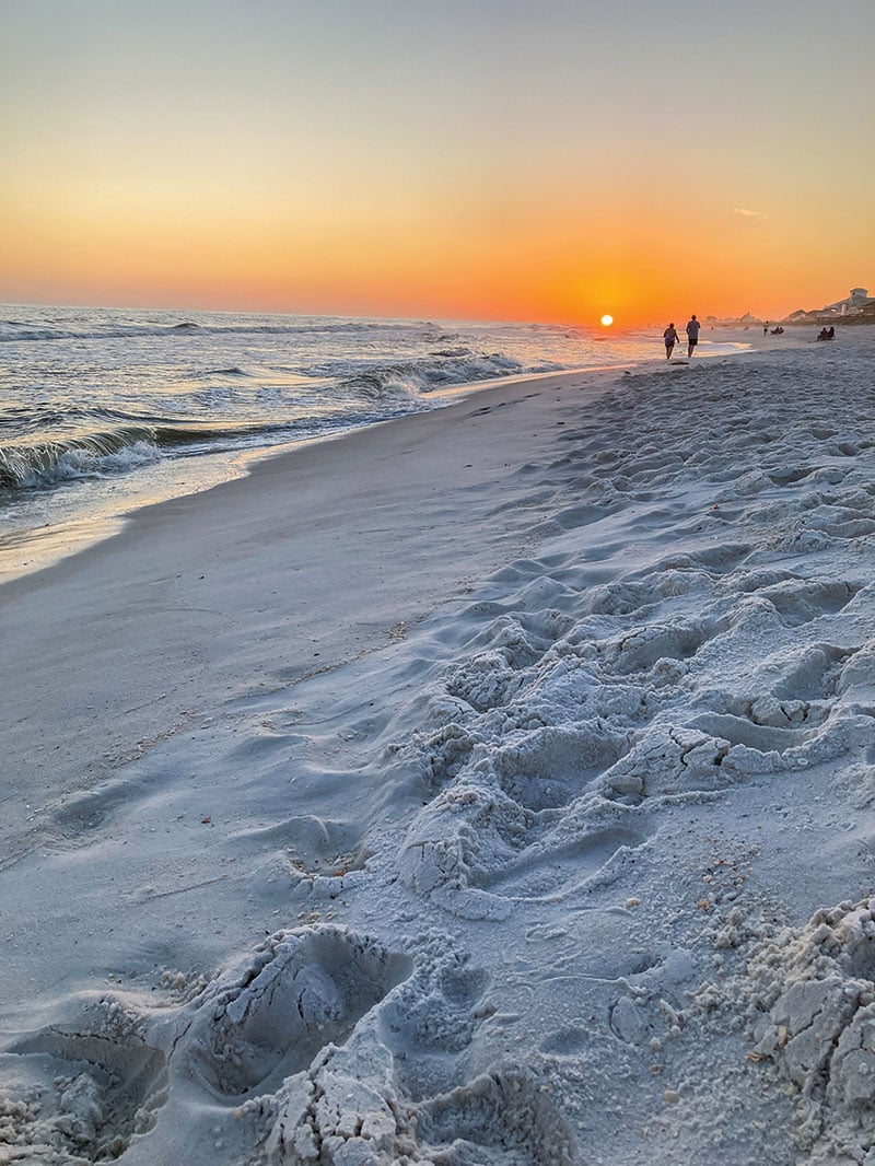 Florida’s Navarre Beach is a Naturalist’s Paradise